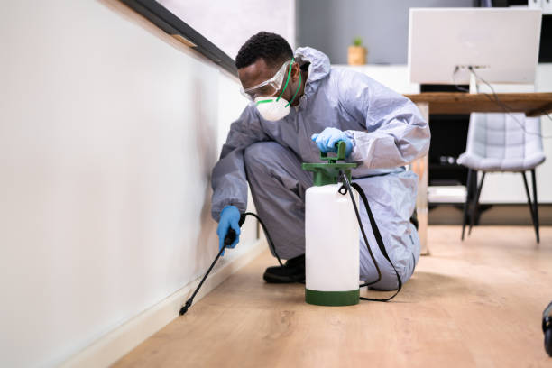 Best Residential Pest Control  in Dickinson, TX